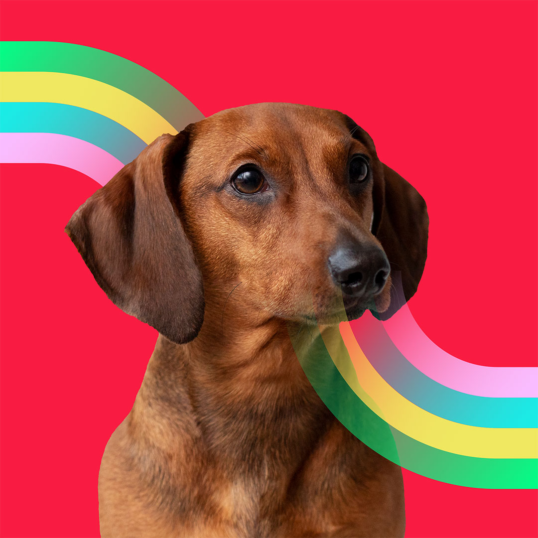 Jam'on digital Profil